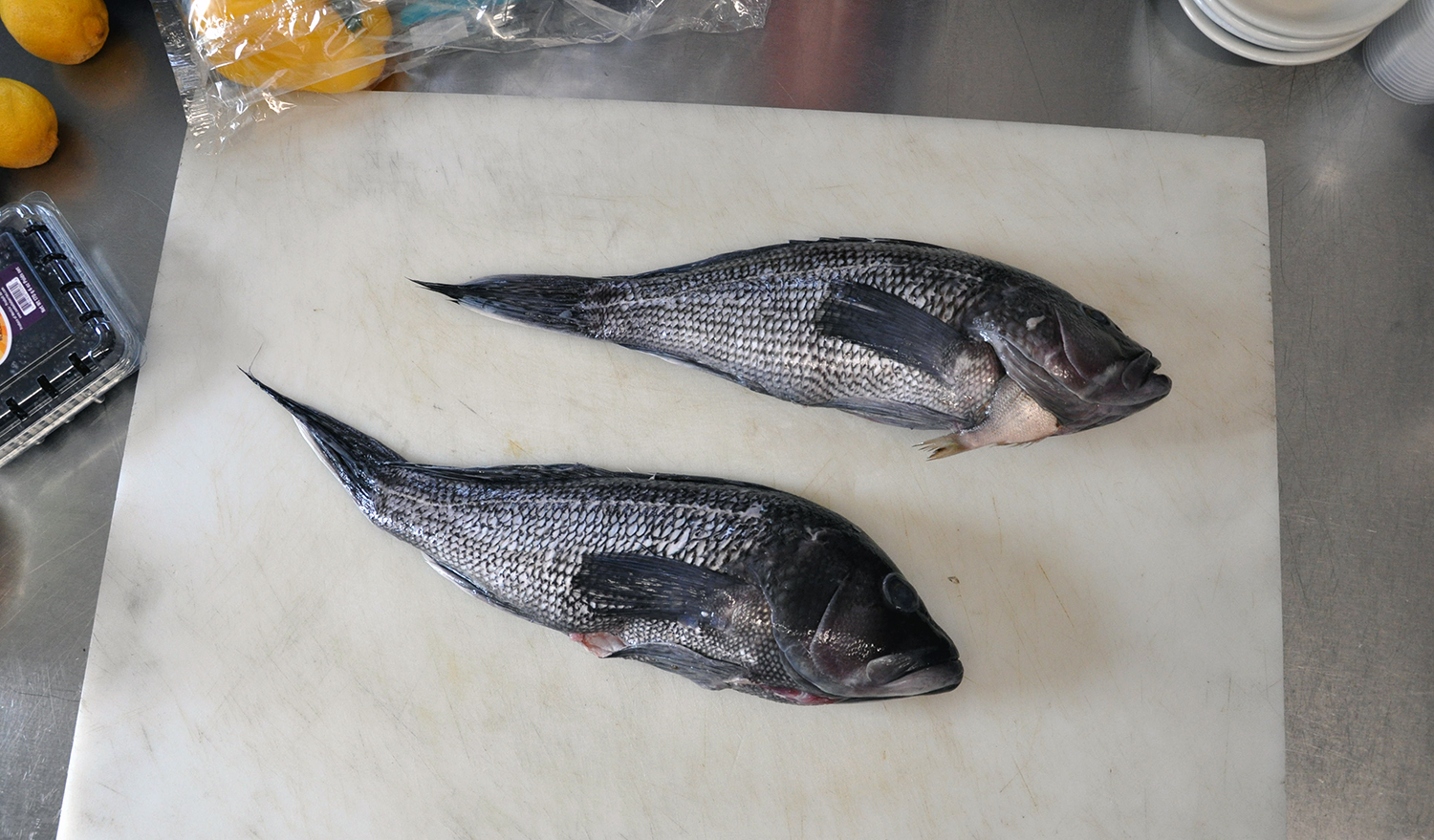 Two black sea bass ready to be prepared at Sly Fox Den Too in Charlestown.