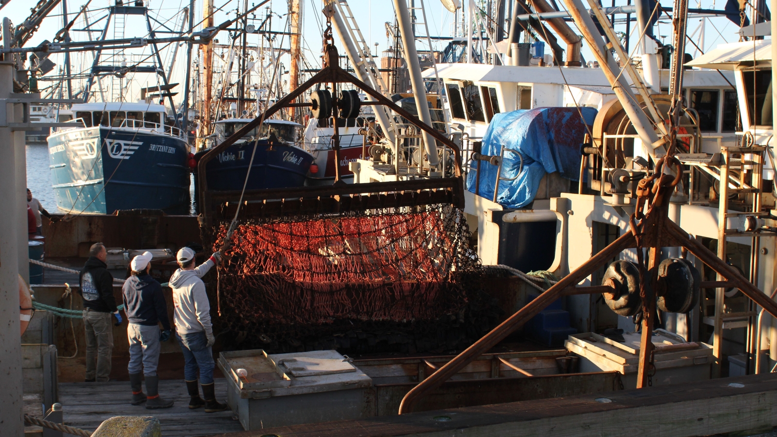 The fishing industry employs more than 6,000 people in New Bedford, and scallops account for more than 80% of the port's seafood revenue.