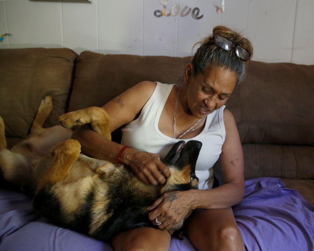 In this photo taken Wednesday, Aug. 14, 2019, Susie Garza plays with her dog, Duke, at her home in Stockton, Calif. When Duke needed surgery, Garza was able to make payments on the bill by a city provided debit card she receives monthly through a trial program. Garza is participating in the Stockton Economic Empowerment Demonstration. The program, which started in February, gives $500 a month to 125 people who earn at or below the median household income of $46,033. They can spend the money with no restrictions. Stockton Mayor Michael Tubbs, who initiated the privately funded program, says it could be a solution to the city's poverty problem. (AP Photo/Rich Pedroncelli) In this photo taken Wednesday, Aug. 14, 2019, Susie Garza plays with her dog, Duke, at her home in Stockton, Calif. When Duke needed surgery, Garza was able to make payments on the bill by a city provided debit card she receives monthly through a trial program. Garza is participating in the Stockton Economic Empowerment Demonstration. The program, which started in February, gives $500 a month to 125 people who earn at or below the median household income of $46,033. They can spend the money with no restrictions. Stockton Mayor Michael Tubbs, who initiated the privately funded program, says it could be a solution to the city's poverty problem. (AP Photo/Rich Pedroncelli)