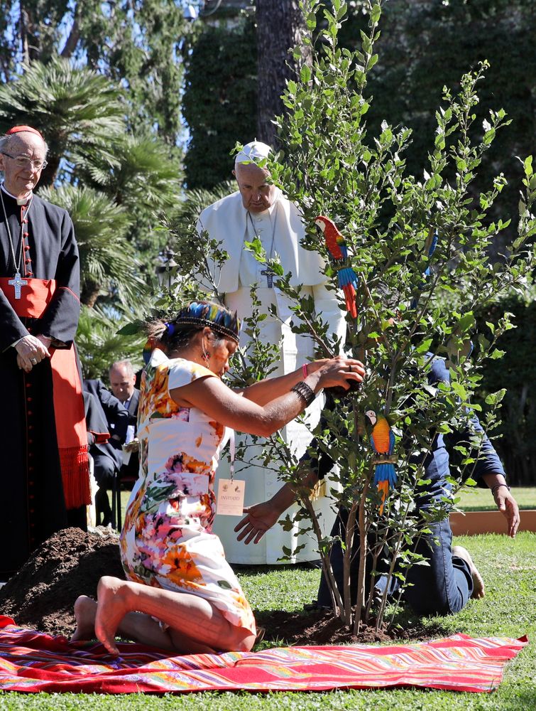 Pope Francis looks on during a tree-planting ceremony on the occasion of the feast of St. Francis of Assisi, the patron saint of ecology, at the Vatican, Friday, Oct. 4, 2019. The ceremony takes place two days before a Synod of bishops on the Pan-Amazon region opens at the Vatican to address the ecological, social and spiritual needs of indigenous peoples in the Amazon. (AP Photo/Alessandra Tarantino) Pope Francis looks on during a tree-planting ceremony on the occasion of the feast of St. Francis of Assisi, the patron saint of ecology, at the Vatican, Friday, Oct. 4, 2019. The ceremony takes place two days before a Synod of bishops on the Pan-Amazon region opens at the Vatican to address the ecological, social and spiritual needs of indigenous peoples in the Amazon. (AP Photo/Alessandra Tarantino)