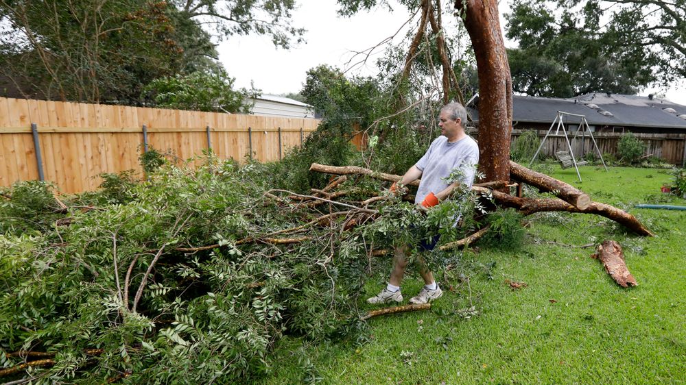 Steve Bergeron collects downed branches from a Tropical Storm Barry damaged backyard tree, Sunday, July 14, 2019, in Morgan City, La. Bergeron and his wife, Lois Bergeron, far background, spent much of their Sunday morning cleaning up tree limbs, clumps of leaves and other storm debris. (AP Photo/Rogelio V. Solis) Steve Bergeron collects downed branches from a Tropical Storm Barry damaged backyard tree, Sunday, July 14, 2019, in Morgan City, La. Bergeron and his wife, Lois Bergeron, far background, spent much of their Sunday morning cleaning up tree limbs, clumps of leaves and other storm debris. (AP Photo/Rogelio V. Solis)