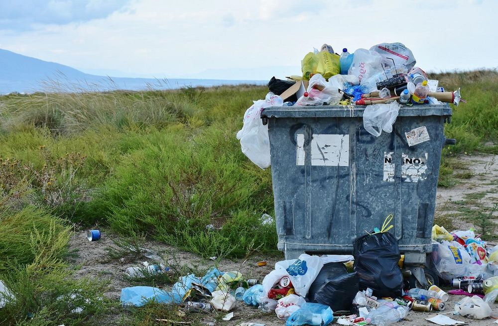 If You're Putting Garbage Bags in Your Recycling Bin, You're Doing