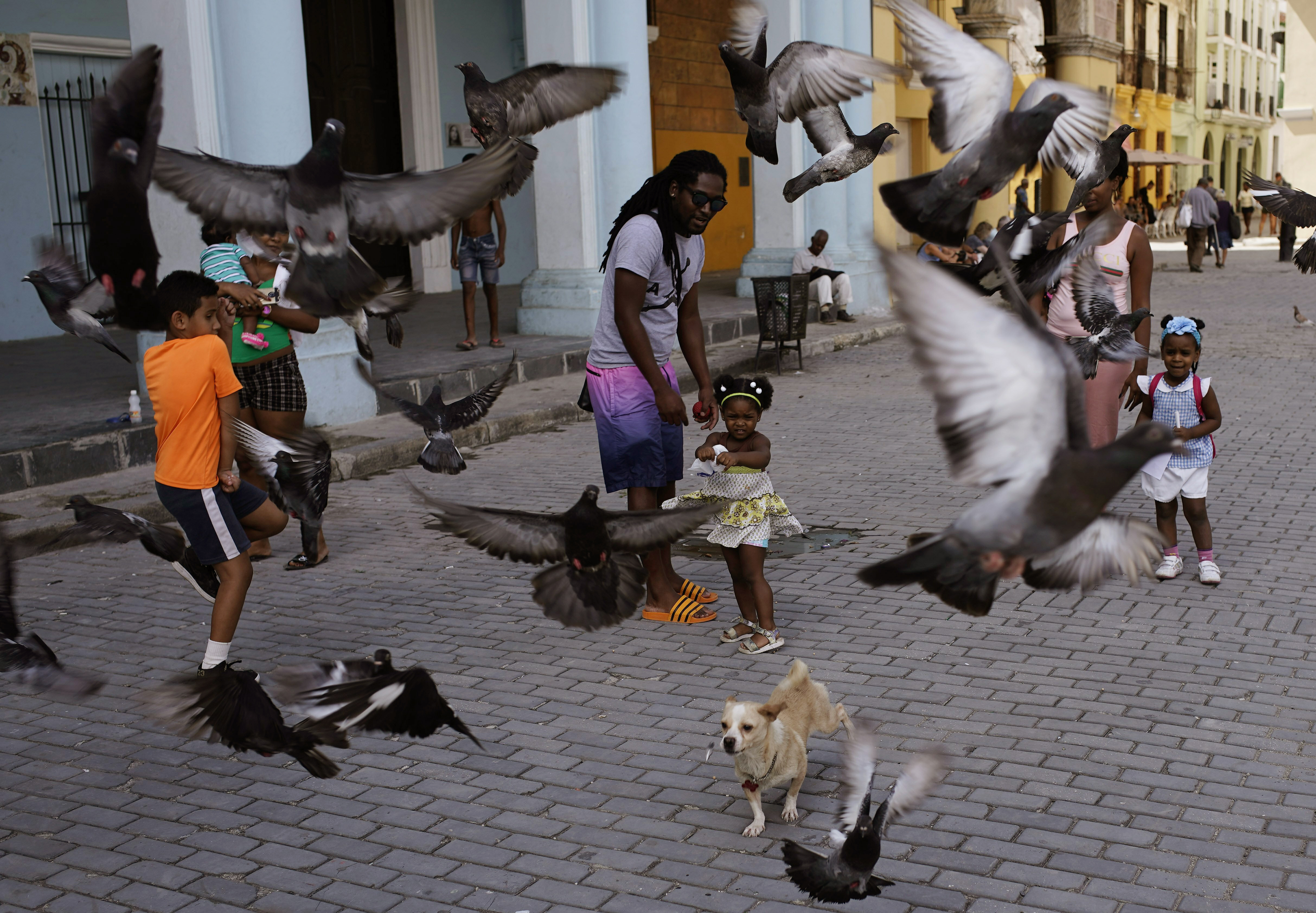 A girl and her father feed the pigeons as their dog runs amid the birds at a public square in Havana, Cuba, Wednesday, April 10, 2019. Communist Party leader Raúl Castro warned Cubans on Wednesday that they should brace for worsening shortages due to Trump administration policies, but said the island won't return to the extreme deprivation of the post-Soviet period. (AP Photo/Ramon Espinosa) A girl and her father feed the pigeons as their dog runs amid the birds at a public square in Havana, Cuba, Wednesday, April 10, 2019. Communist Party leader Raúl Castro warned Cubans on Wednesday that they should brace for worsening shortages due to Trump administration policies, but said the island won't return to the extreme deprivation of the post-Soviet period. (AP Photo/Ramon Espinosa)
