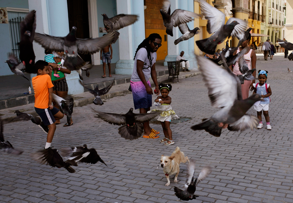 A girl and her father feed the pigeons as their dog runs amid the birds at a public square in Havana, Cuba, Wednesday, April 10, 2019. Communist Party leader Raúl Castro warned Cubans on Wednesday that they should brace for worsening shortages due to Trump administration policies, but said the island won't return to the extreme deprivation of the post-Soviet period. (AP Photo/Ramon Espinosa) A girl and her father feed the pigeons as their dog runs amid the birds at a public square in Havana, Cuba, Wednesday, April 10, 2019. Communist Party leader Raúl Castro warned Cubans on Wednesday that they should brace for worsening shortages due to Trump administration policies, but said the island won't return to the extreme deprivation of the post-Soviet period. (AP Photo/Ramon Espinosa)
