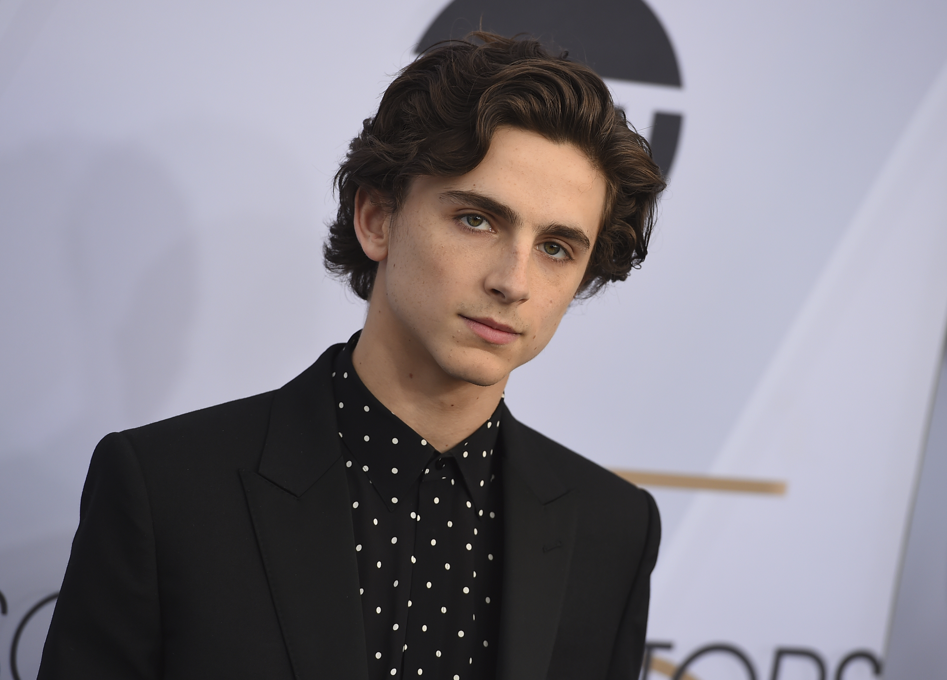 Timothee Chalamet arrives at the 25th annual Screen Actors Guild Awards at the Shrine Auditorium & Expo Hall on Sunday, Jan. 27, 2019, in Los Angeles. (Photo by Jordan Strauss/Invision/AP) Timothee Chalamet arrives at the 25th annual Screen Actors Guild Awards at the Shrine Auditorium & Expo Hall on Sunday, Jan. 27, 2019, in Los Angeles. (Photo by Jordan Strauss/Invision/AP)
