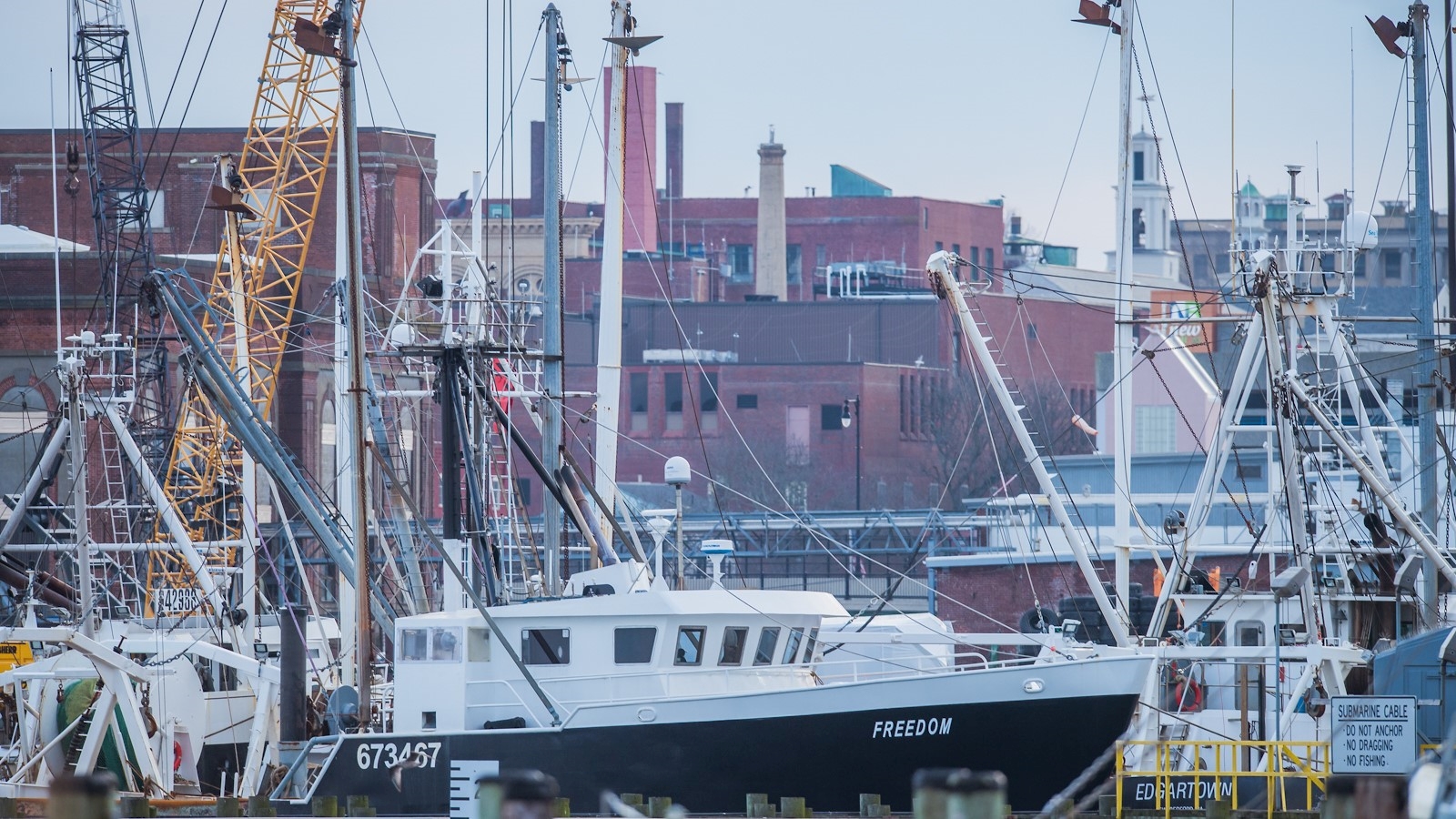 The fishing and offshore wind industries will soon be sharing space in the port of New Bedford.