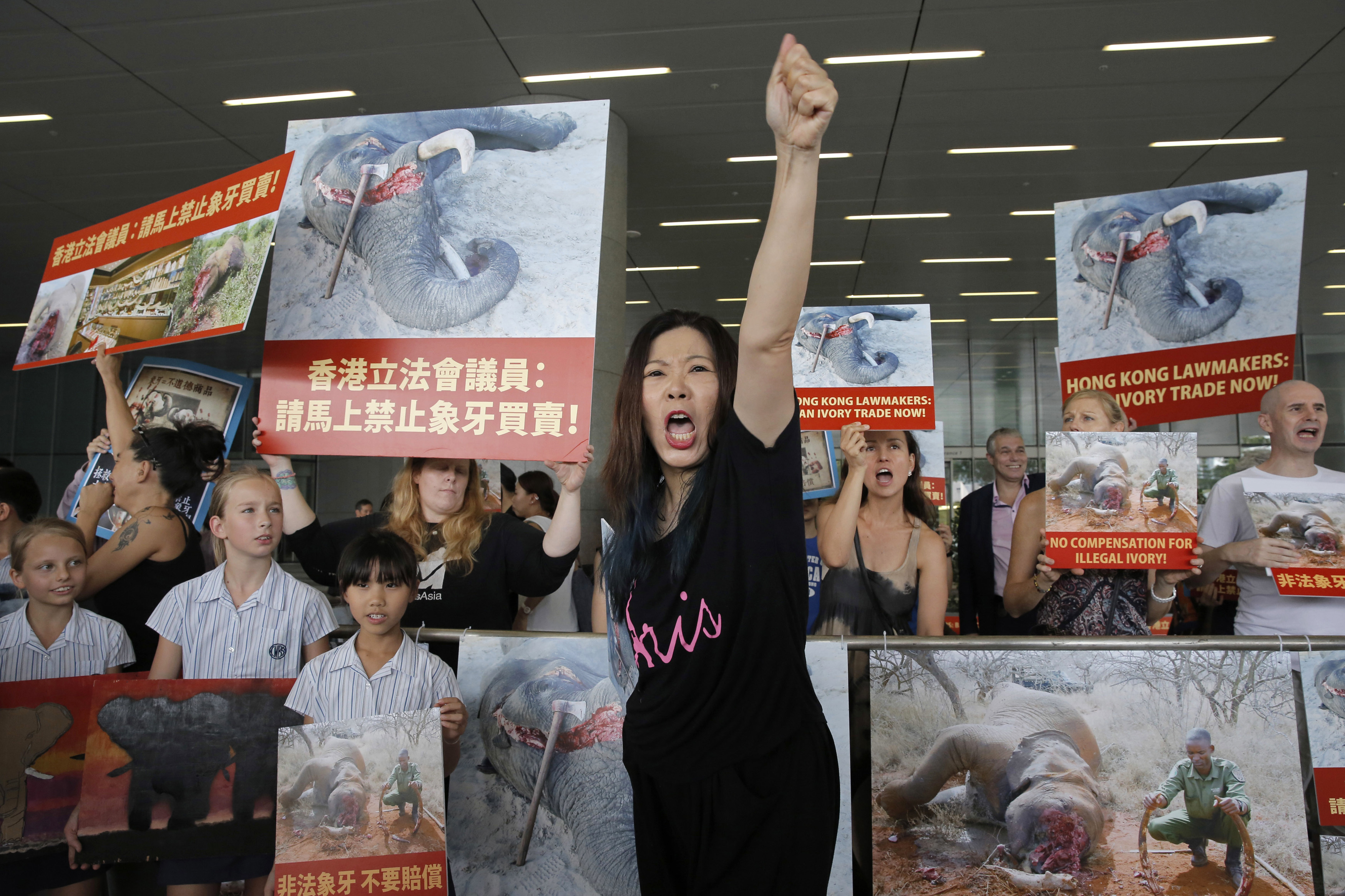 FILE - In this June 6, 2017, file photo, animal conservation activists hold pictures of elephants being killed for their ivory tusks, outside the Legislative Council in Hong Kong. Hong Kong customs officers have intercepted a record 8.3 tons of pangolin scales and hundreds of elephant tusks worth more than $8 million combined, underscoring the threat to endangered species from demand in Asia. (AP Photo/Kin Cheung, File) FILE - In this June 6, 2017, file photo, animal conservation activists hold pictures of elephants being killed for their ivory tusks, outside the Legislative Council in Hong Kong. Hong Kong customs officers have intercepted a record 8.3 tons of pangolin scales and hundreds of elephant tusks worth more than $8 million combined, underscoring the threat to endangered species from demand in Asia. (AP Photo/Kin Cheung, File)