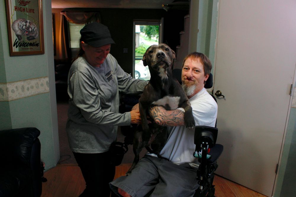 In this Aug. 16, 2019 photo, Greg Manteufel takes his dog Ellie from his wife Dawn Manteufel at their home in West Bend, Wis. He lost parts of his arms and legs, as well as the skin of his nose and part of his upper lip from capnocytophaga, a bacteria commonly found in the saliva or cats and dogs that almost never leads to people getting sick, unless the person has a compromised immune system. Manteufel was perfectly healthy when he got sick in June of 2018. Over the last seven years, a team of researchers at Brigham and Women's Hospital in Boston, connected to Harvard Medical School, have tested other healthy people who were affected and developed a theory on why they were affected- a gene change in all the victims. (AP Photo/Carrie Antlfinger) In this Aug. 16, 2019 photo, Greg Manteufel takes his dog Ellie from his wife Dawn Manteufel at their home in West Bend, Wis. He lost parts of his arms and legs, as well as the skin of his nose and part of his upper lip from capnocytophaga, a bacteria commonly found in the saliva or cats and dogs that almost never leads to people getting sick, unless the person has a compromised immune system. Manteufel was perfectly healthy when he got sick in June of 2018. Over the last seven years, a team of researchers at Brigham and Women's Hospital in Boston, connected to Harvard Medical School, have tested other healthy people who were affected and developed a theory on why they were affected- a gene change in all the victims. (AP Photo/Carrie Antlfinger)