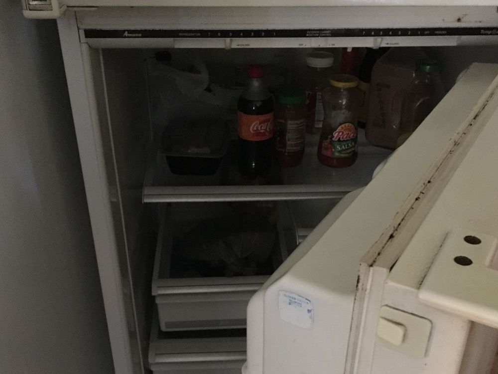 Brandon's fridge when the power went out for a second time. 