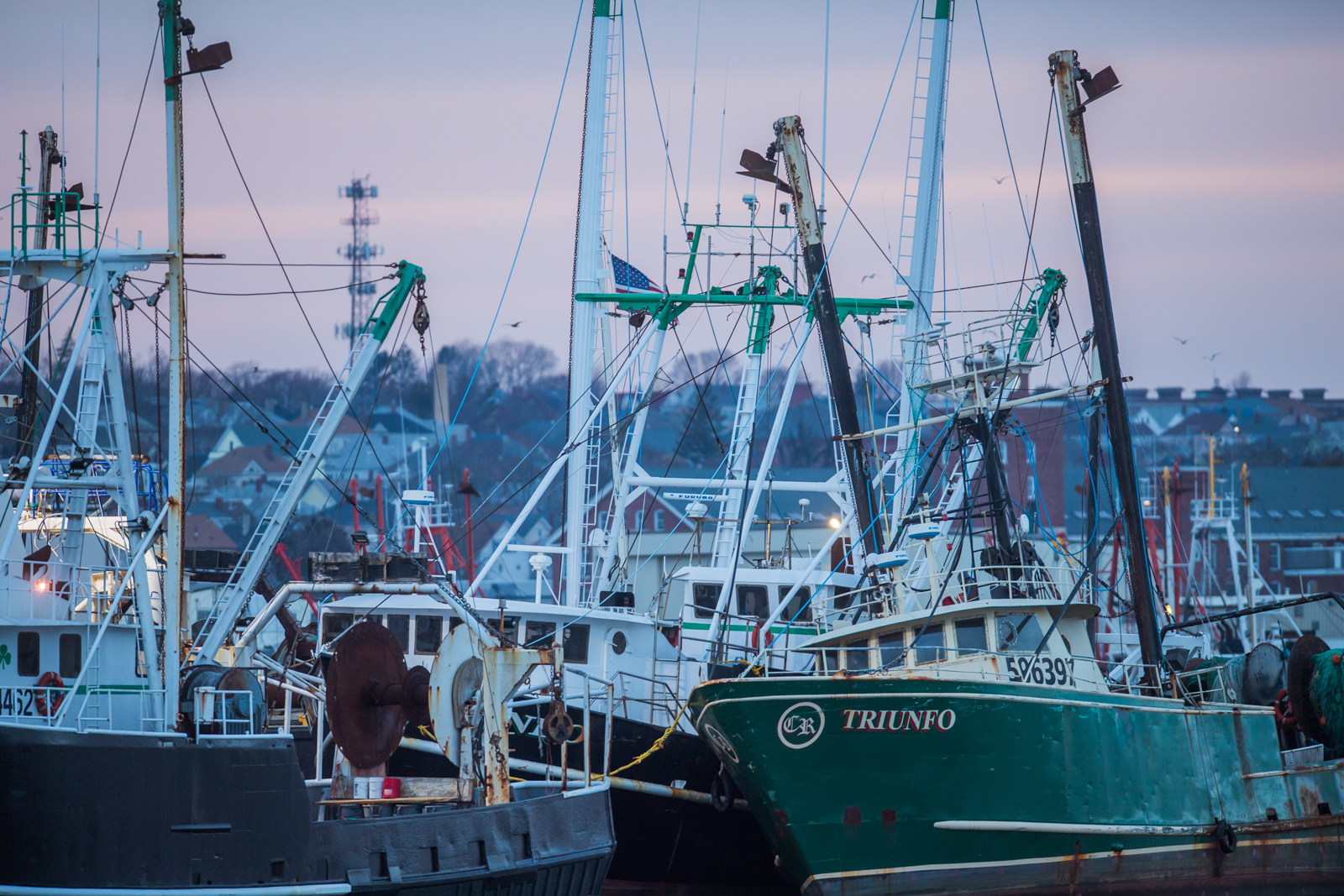 New Bedford is the nation's top-grossing fishing port, with most of that revenue coming from scallops.