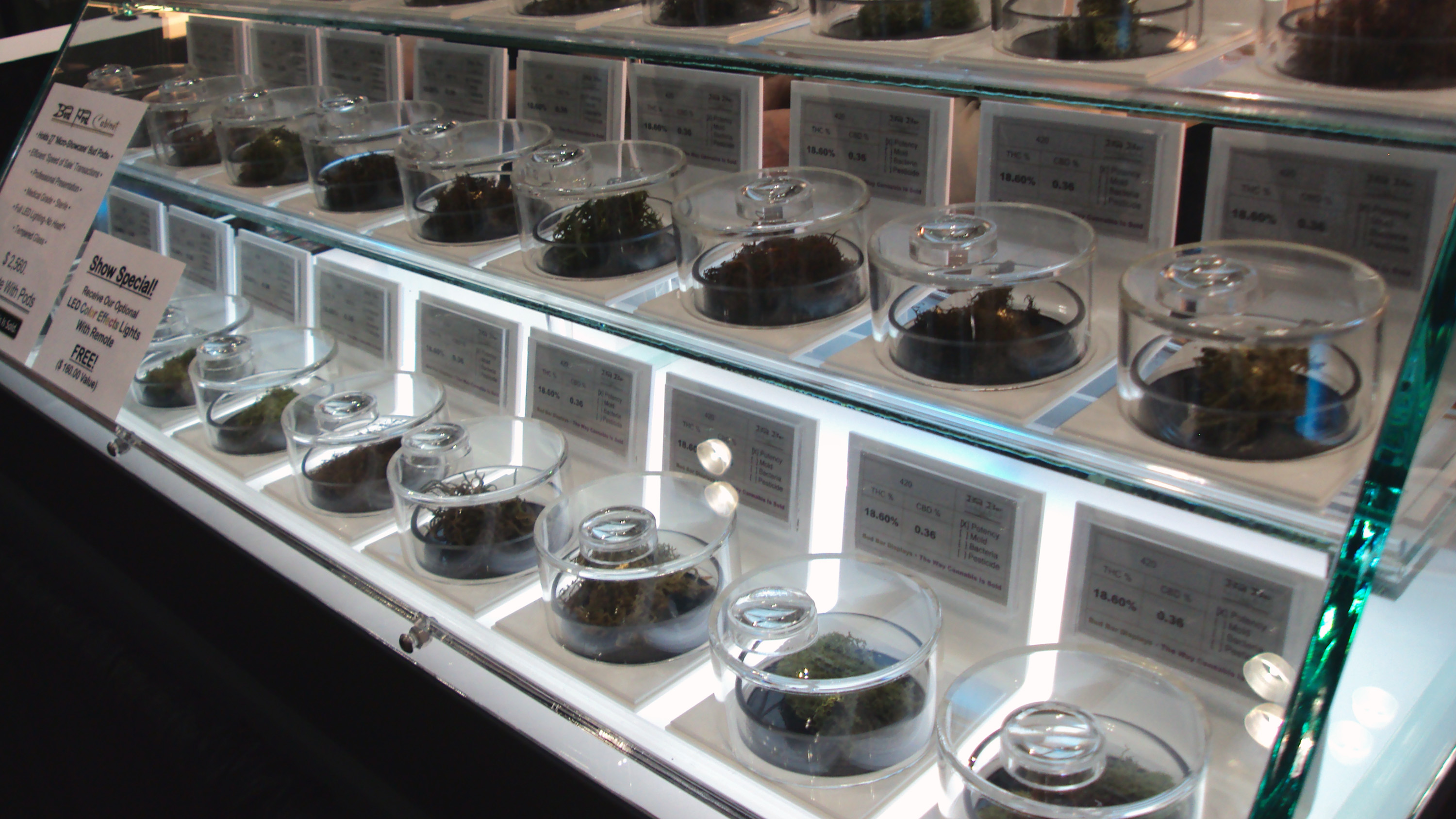 Medical marijuana on display
