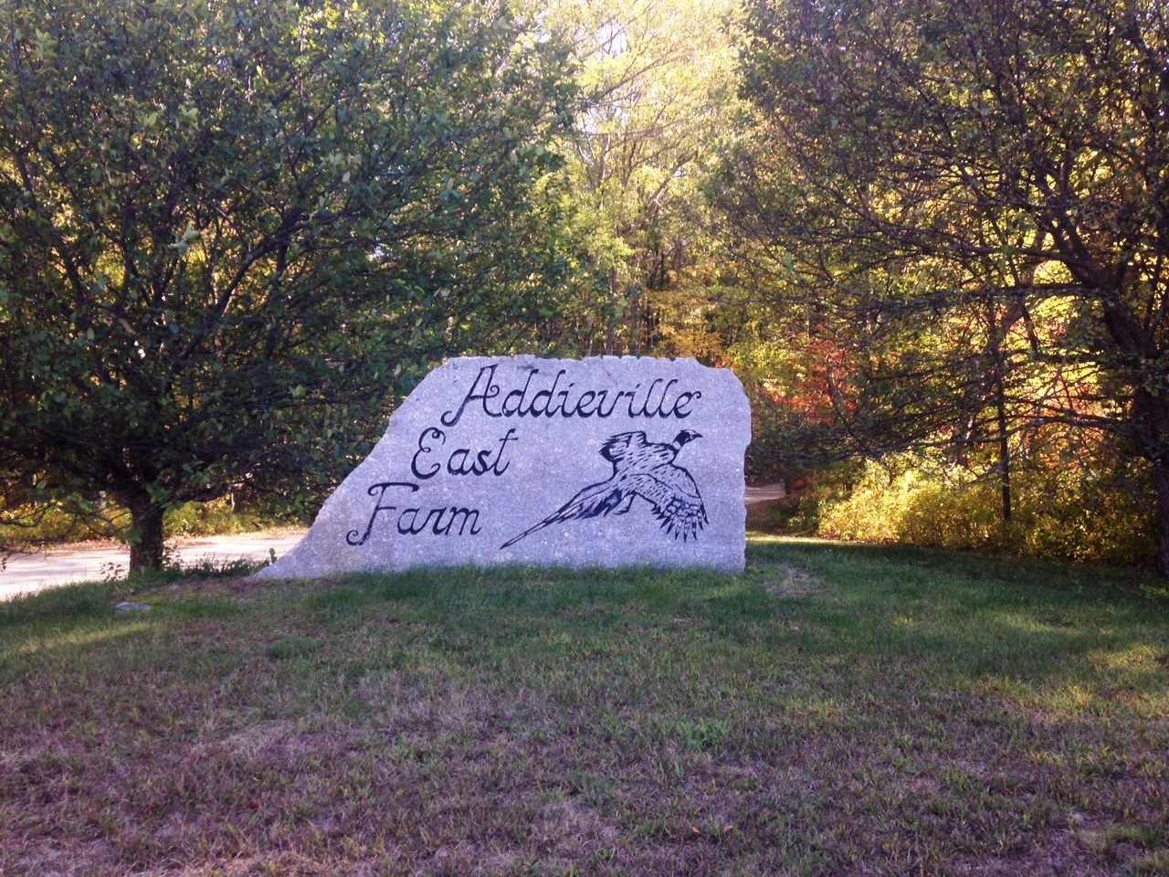 One Square Mile Burrillville Addieville East Farm, A Love Story